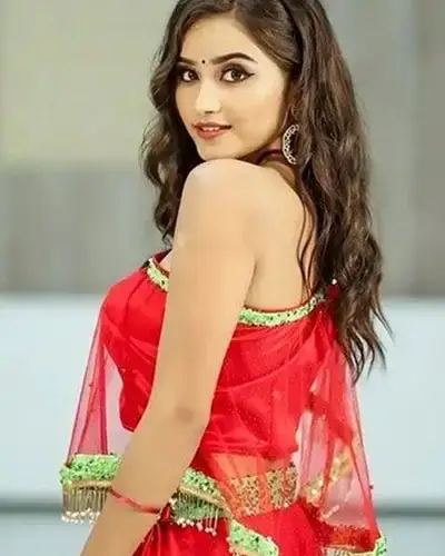 Call Girls Service Khilchipur